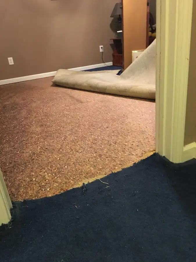 Carpet pad removal revealing water damage during Drying & Dehumidification in Silver Lakes